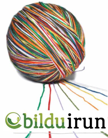 bildu irun