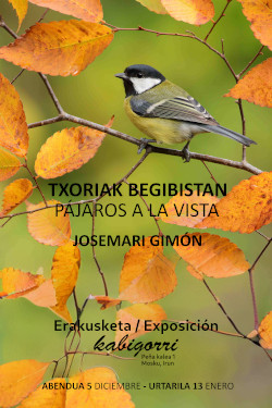 Cartel  Pájaros a la vista-web